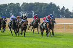 160726-Race 4-Park Lane Penny-4656