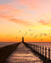 Tynemouth pier awakening