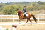 SBM_018334