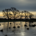 Flooded Field