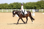 SBM_008238