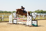SBM_000965