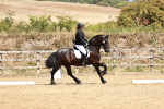 SBM_003443