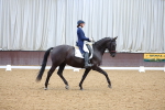 SBM_002913
