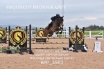 BPP_3553