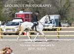 BPP_9039