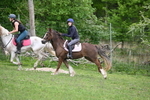 WJ6_3402