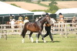 SBM_09100