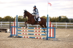 SBM_003913