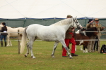 SBM_04269