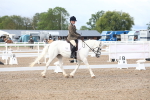 SBM_00211