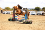 SBM_007075
