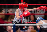 BOUT-5 - Rio Gaudion v Harry Manley-6