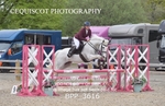 BPP_3616