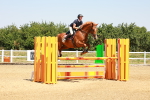 SBM_001263