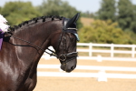 SBM_005672