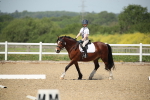 SBM_008791