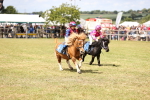 SBM_16539