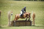 BVHT 140517  NXC -349