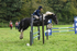 ESK_0329