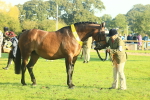 SBM_56738