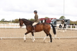 SBM_02872