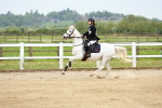 SBM_009236