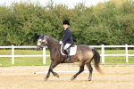 SBM_001496