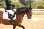 SBM_005395