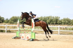 SBM_007977