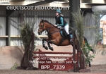 BPP_7339