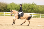 SBM_007319