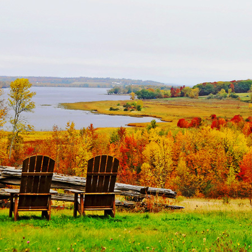 Autumn Foliage