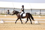 SBM_002737