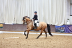 SBM_000885