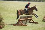 BVHT 140517  IXC -493