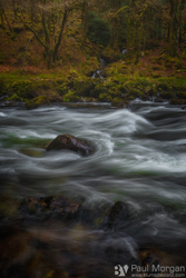 River Dance