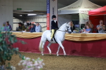 SBM_15894