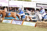 SBM_16723