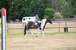 WJ6_3731