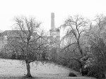 Clarence Mill, Bollington (2)