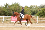SBM_006535