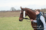 Cirencester Races -  Siddington 22/03/25 portfolio