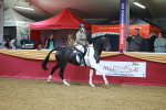 SBM_05342