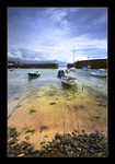 Mousehole Harbour