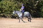 WJ6_8639