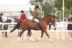SBM_18160