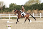 SBM_003440