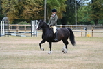 Burley Lodge Summer Show 2025 portfolio