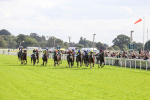 230824-Race 5-Canoodled-8483